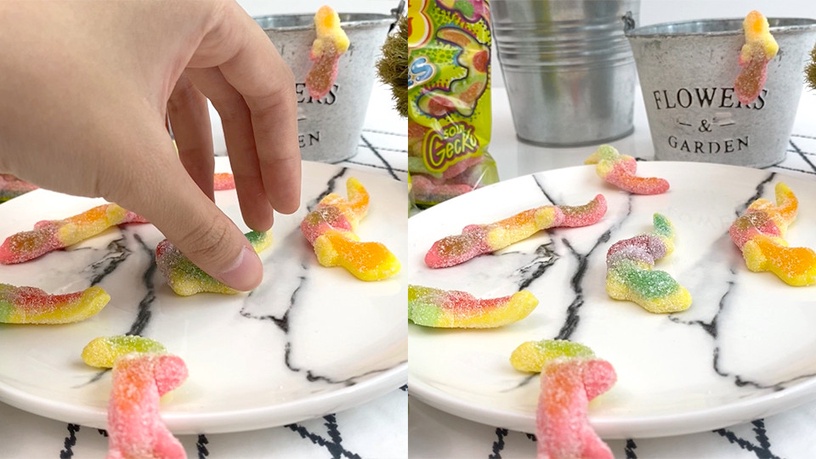 奇葩軟糖+1!加倍佳推出「彩虹壁虎軟糖」,長長的尾巴認真超像,重點是這壁虎還能動