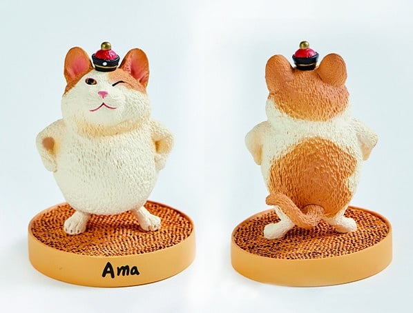 朝隈俊男Animal Life「圓滾滾系列」X黃阿瑪的後宮生活:黃阿瑪Ama/售價250元
