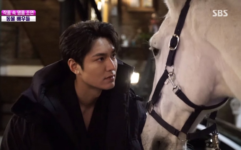 《The King:永遠的君主》李敏鎬超寵麥希穆斯