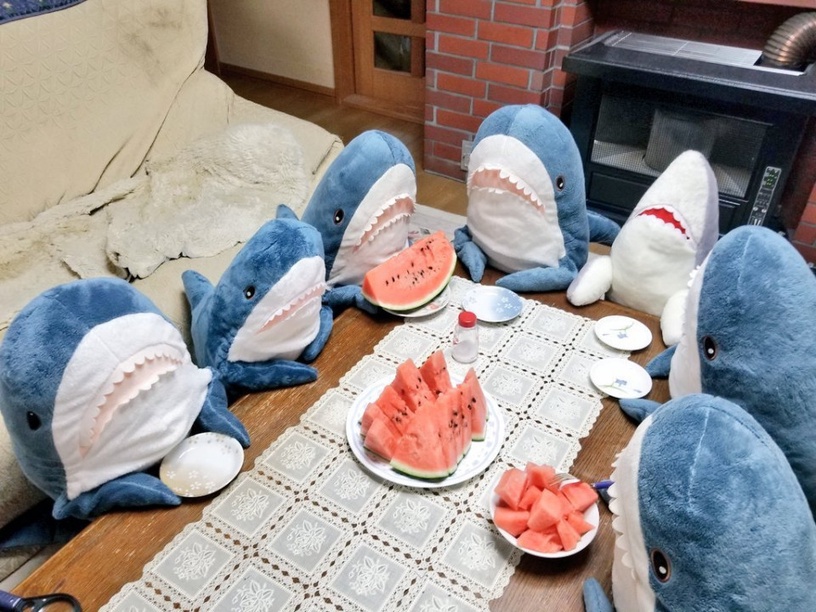 IKEA鯊魚