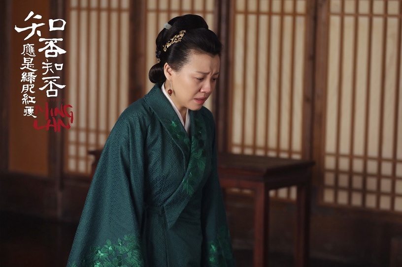 《你是我的命中注定》演員古裝角色4:劉琳《知否知否應是綠肥紅瘦》