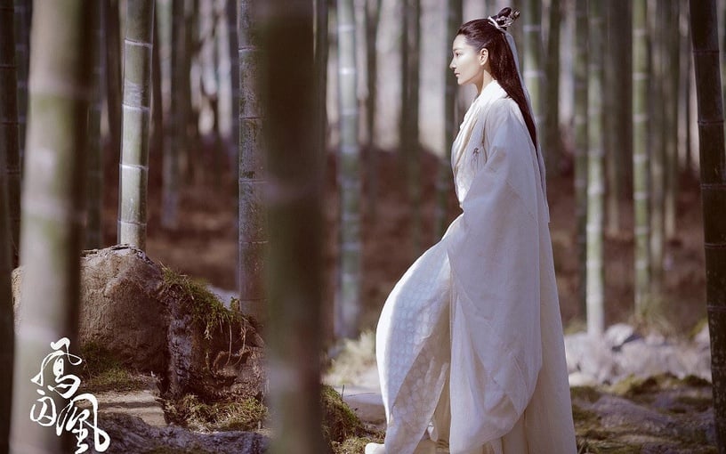 《幸福,觸手可及》張馨予古裝角色10:《鳳囚凰》王意之