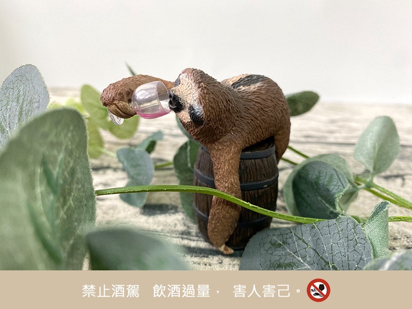 樹懶你不要再喝了!Animal Life「買醉人生」第二彈,超ㄎㄧㄤ模樣看了都想一起喝起來