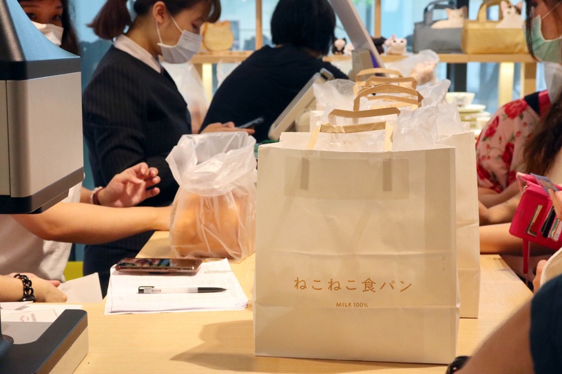 日本「貓咪生吐司」快閃來台!「NEKO NEKO SHOKUPAN 貓咪吐司專賣店」預計這天開幕