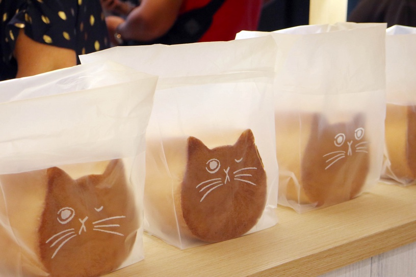 日本「貓咪生吐司」快閃來台!「NEKO NEKO SHOKUPAN 貓咪吐司專賣店」預計這天開幕
