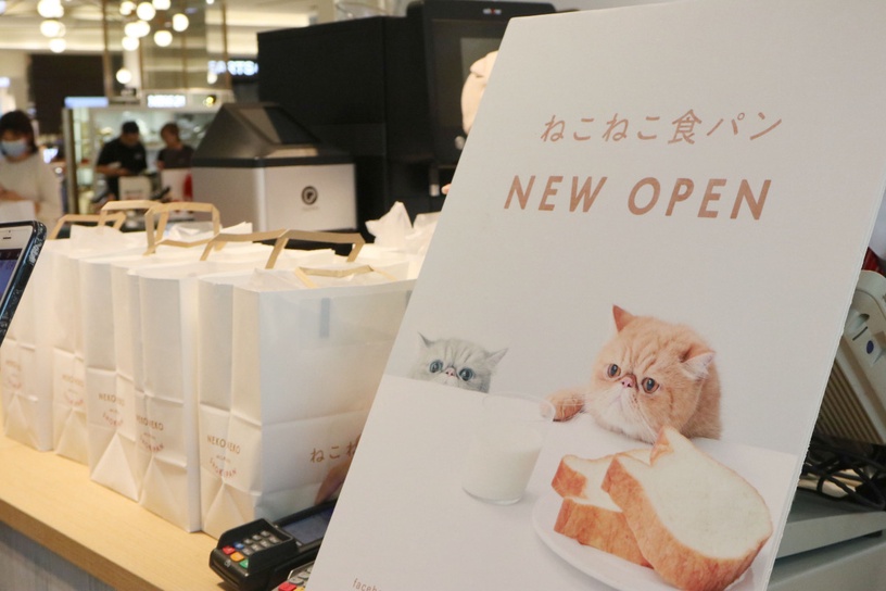 日本「貓咪生吐司」海外首發！與「Felissimo貓部」雜貨一起快閃，貓奴們守不住荷包啦