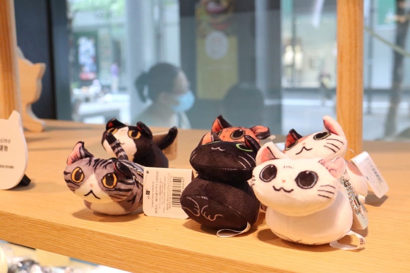 日本「貓咪生吐司」快閃來台!「NEKO NEKO SHOKUPAN 貓咪吐司專賣店」預計這天開幕
