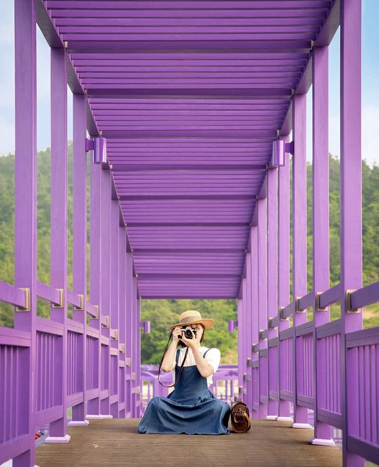 韓國熱門打卡景點「Purple island」