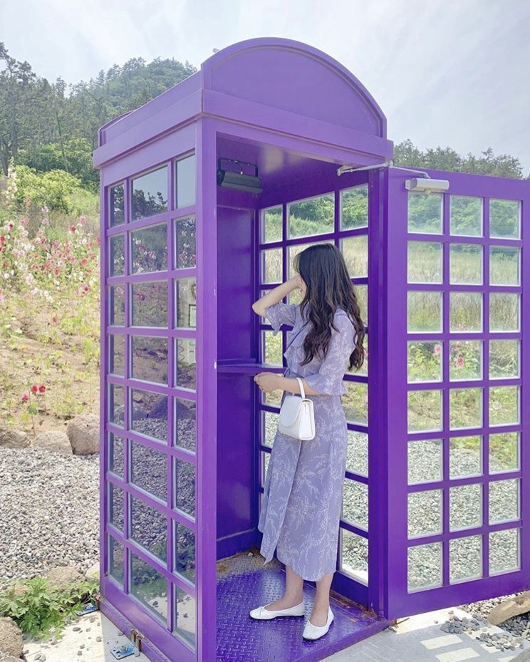 韓國熱門打卡景點「Purple island」