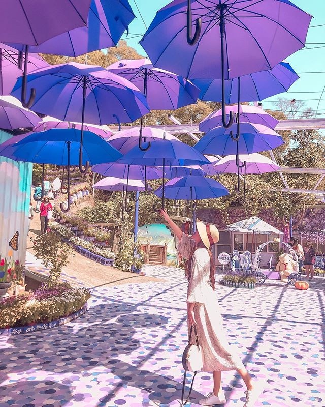 苗栗「噢哈娜咖啡屋」推薦亮點：飛天紫色花傘