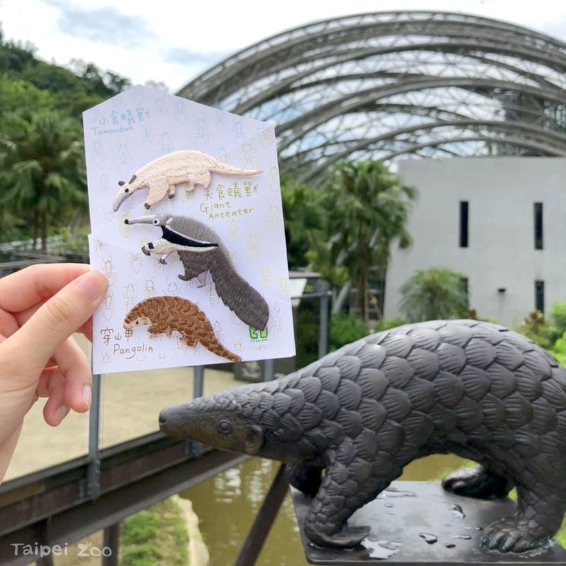「夜間動物園」來了！台北市立動物園限時7天「夜間開放時段」，加碼這天能領動物繡片