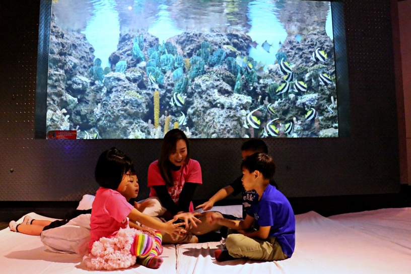 2020 全台5大「夜宿活動」推薦!水族館露營、動物園夜間探險,博物館實境解謎暑假必衝