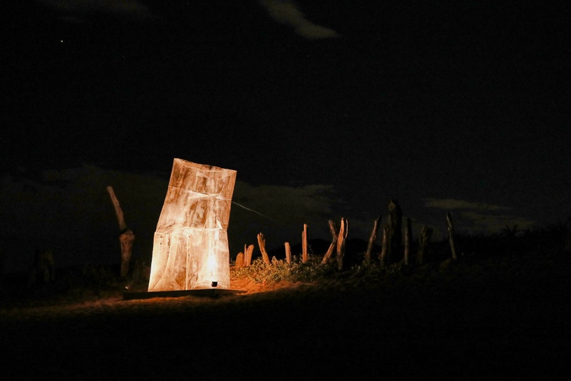 金山絕美「光雕藝術展」開跑!朱銘美術館週六加碼免費入場,周末就衝金山夜遊吧~