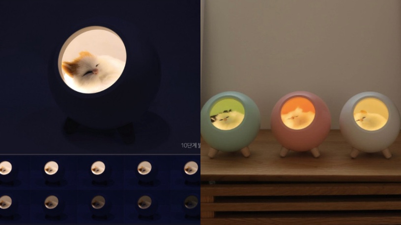 貓奴必收~韓國推出「熟睡小貓夜燈」太療癒,既然不能養真的貓咪,那讓他陪你睡覺吧!