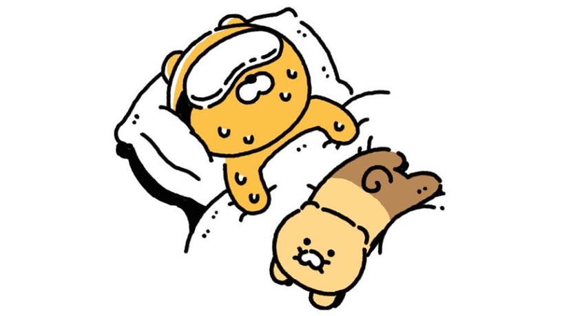 萊恩有新寵物了!KAKAO FRIENDS新角色「萊恩貓」,表情呆萌卻超有個性~