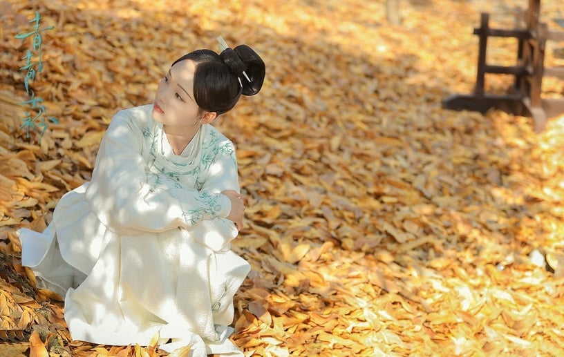 熱播甜寵劇古裝女神6:呂小雨 飾演《青青子衿》聞人雋