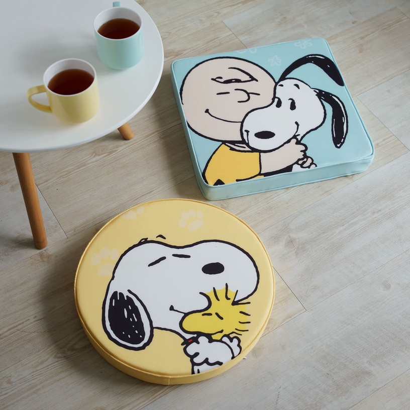 Snoopy系列 造型玩偶-史努比/查理布朗特價999元/件