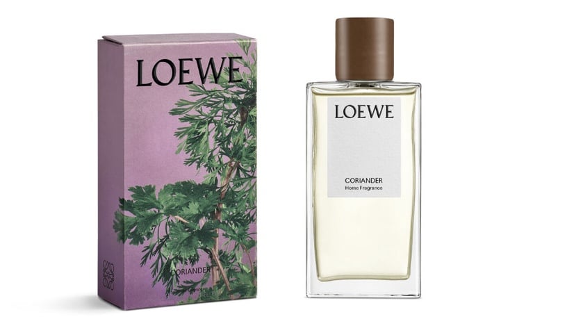 LOEWE終於要在九月推出全新的香氛系列啦～其中最讓人好奇的就是LOEWE的「香菜香水」，右滑也有更多精品「香菜香水」介紹喔！