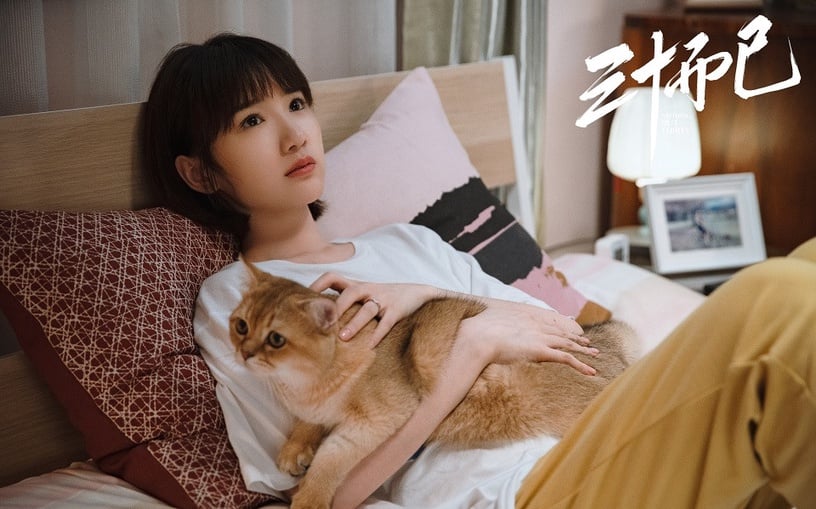 近期「兩部戲同時對打」的演員8:毛曉彤《重啟》第一季vs《三十而已》