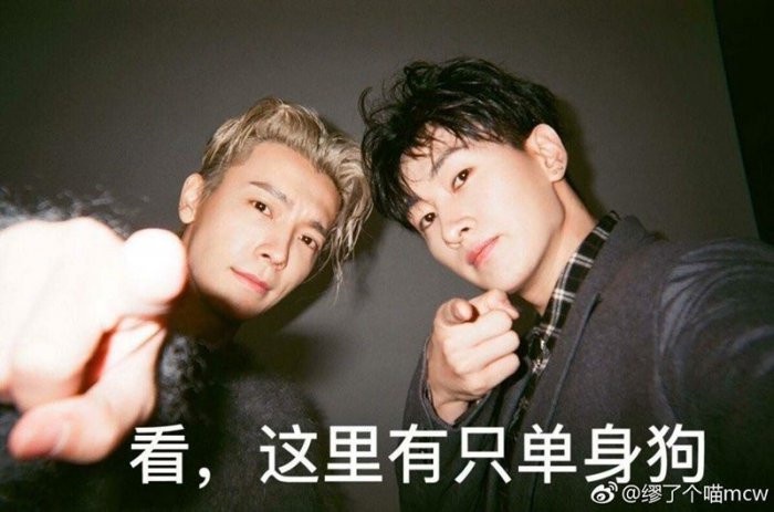 下滑至內文看更多