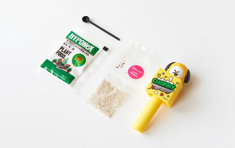 最萌植物玩具!BT21居家小植栽登場,在家就能輕鬆種出草莓、波斯菊,BT21還能變杯緣子