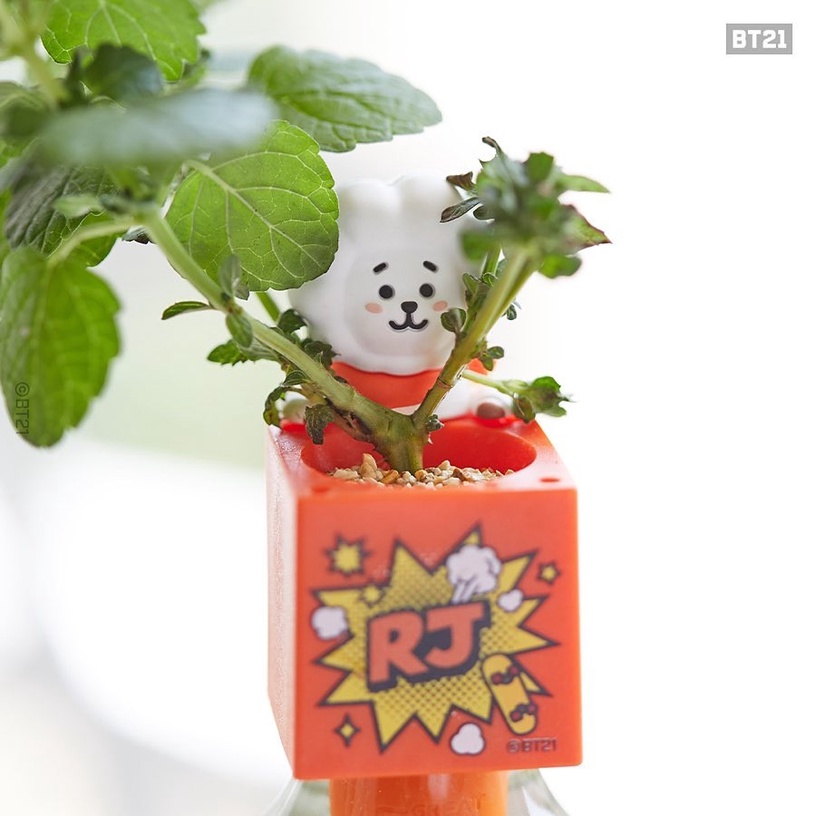 最萌植物玩具!BT21居家小植栽登場,在家就能輕鬆種出草莓、波斯菊,BT21還能變杯緣子