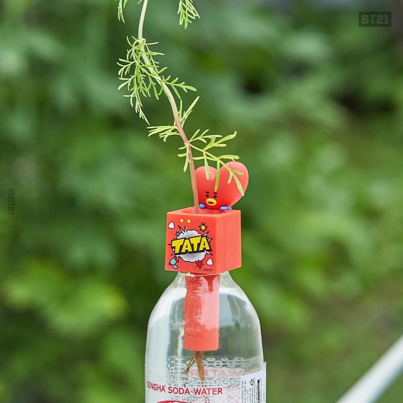 最萌植物玩具!BT21居家小植栽登場,在家就能輕鬆種出草莓、波斯菊,BT21還能變杯緣子