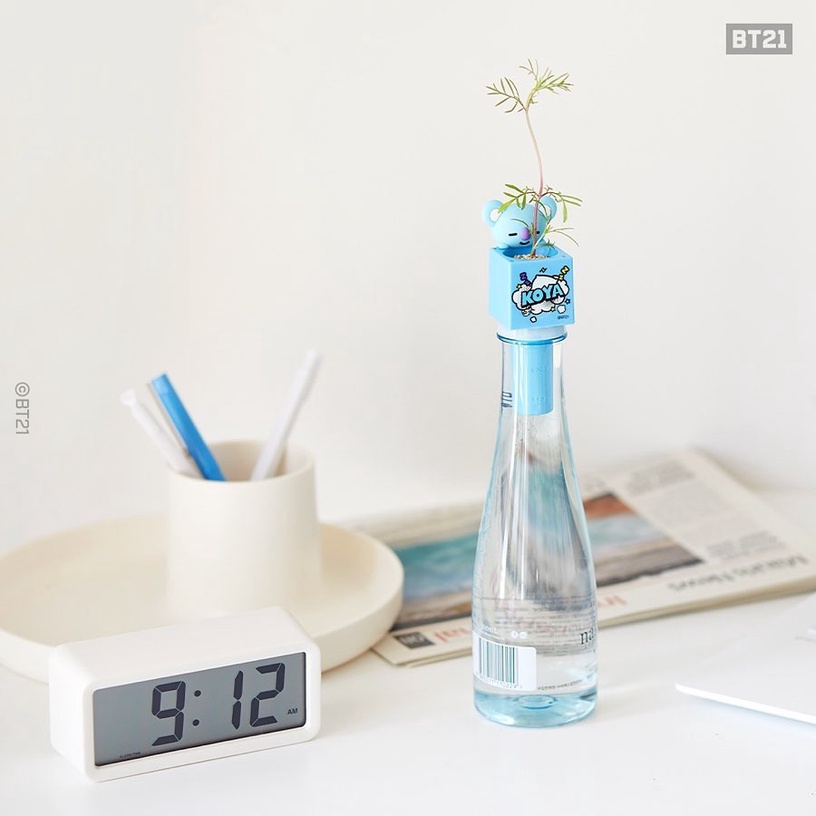 最萌植物玩具!BT21居家小植栽登場,在家就能輕鬆種出草莓、波斯菊,BT21還能變杯緣子