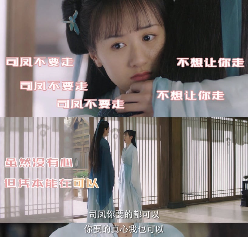 成毅、袁冰妍《琉璃美人煞》