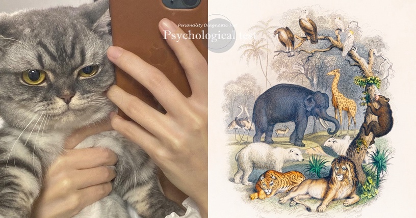 超準個性心理測驗!直覺選一動物,測驗出別人眼中的你&內外在真實性格