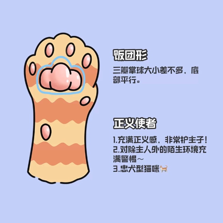下滑至內文看更多