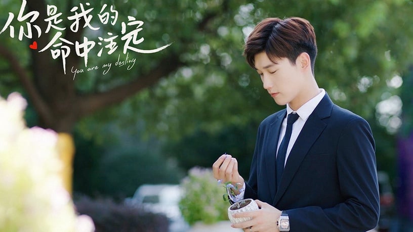 2020陸劇「穿西裝帥翻」霸道總裁TOP 9:邢昭林 飾演《你是我的命中注定》王析翊