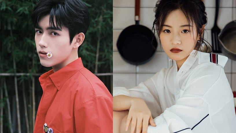 定角陸劇 陳飛宇、李庚希(未官宣)《陪你逐風飛翔》