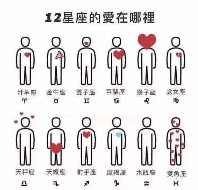 一張圖看出12星座的愛在哪!射手端水大師,水瓶誰也不愛