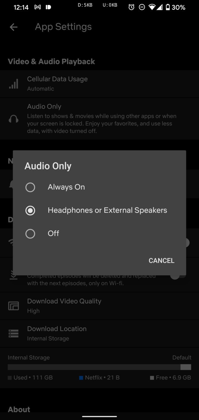 NETFLIX推出「純音訊模式」新功能!一鍵關閉影像超方便,節目、影集都能當Podcast聽!