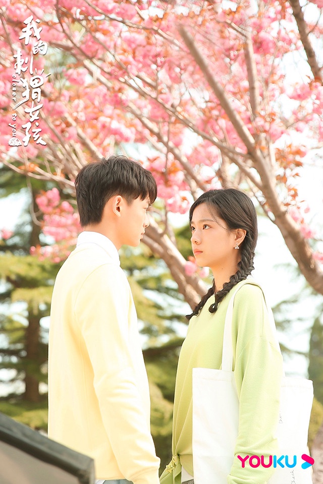 2020校園甜寵陸劇評分榜TOP 7:《我的刺蝟女孩》豆瓣評分7.1