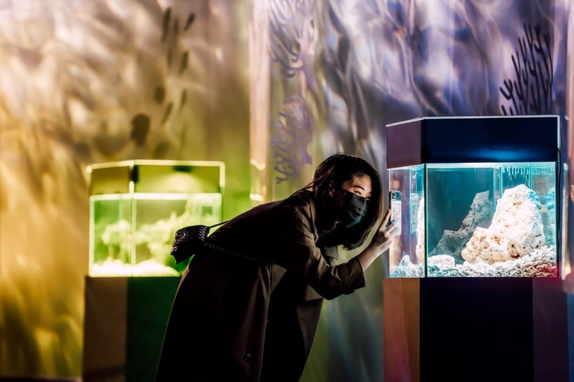 屏東海生館舉辦現場展示活動「海洋本色」，長達34公尺的主展區「色水廊道」超夢幻！