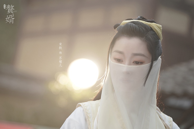熱播古裝劇「古裝女神」3:宋軼 飾演《贅婿》蘇檀兒