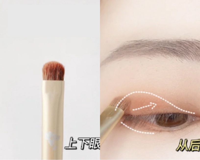 一筆用到底讓眼妝超髒!新手必知「眼影刷用法」教學,不同區域適合刷具&妝效一次公開