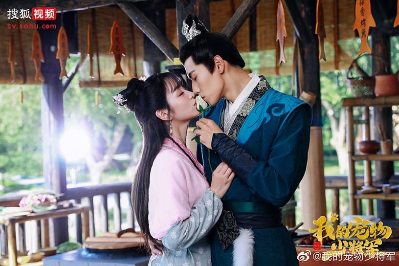 近期熱播陸劇評分榜TOP 4:肖凱中、田曦薇《我的寵物少將軍》豆瓣評分7.4
