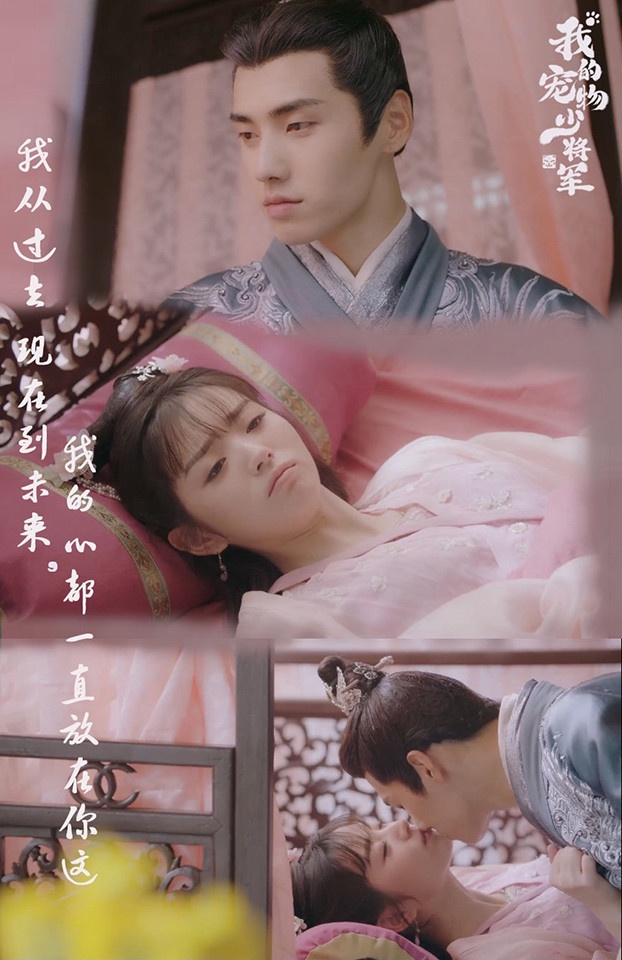 近期熱播陸劇評分榜TOP 4:肖凱中、田曦薇《我的寵物少將軍》豆瓣評分7.4