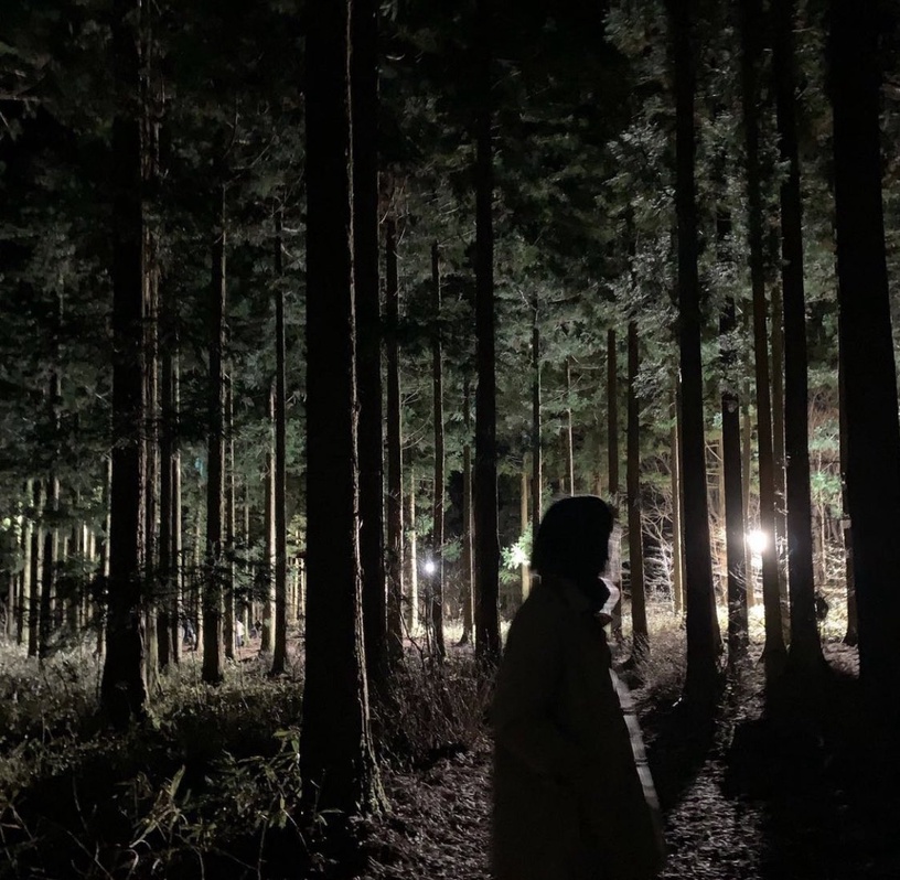 《Voice4》來了!第四季故事移往濟州島,宋承憲、李荷娜聯手追捕「四重人格殺人魔」