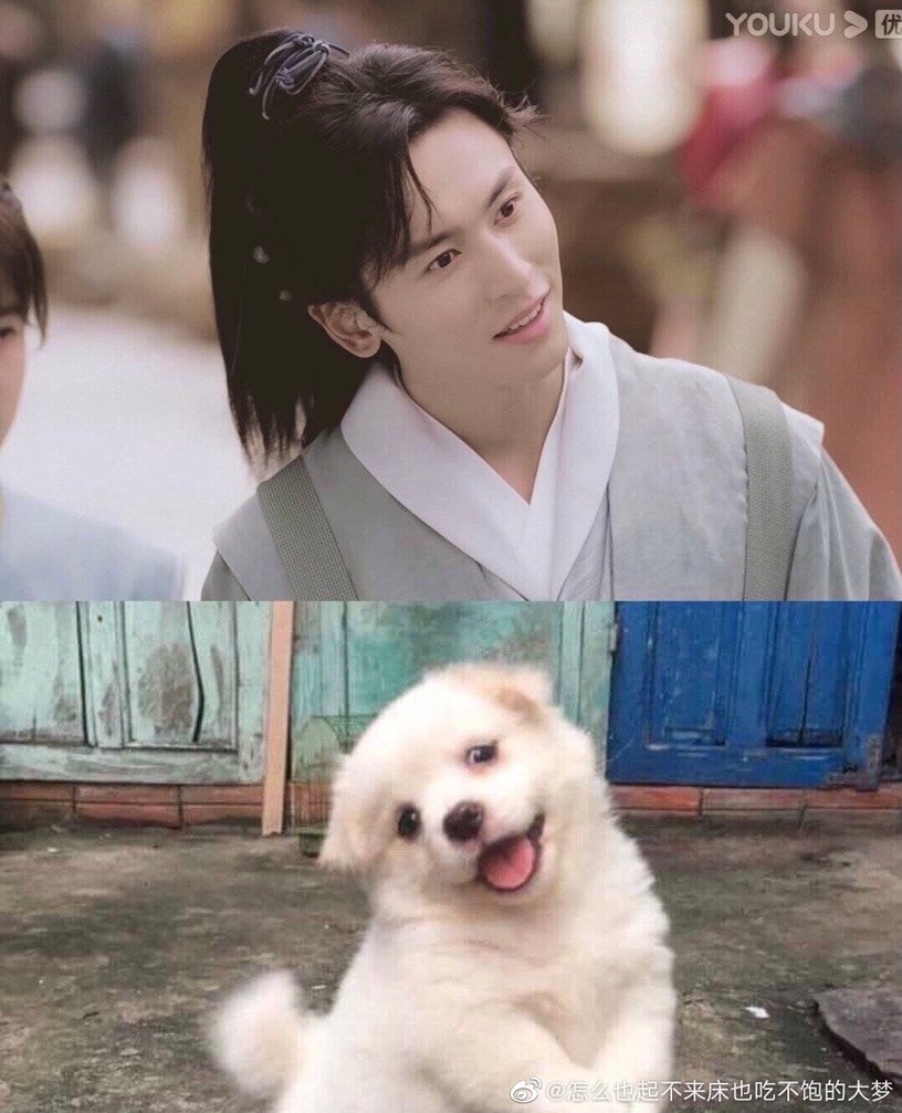 被叫「狗勾」是男星要紅的徵兆?5位爆紅犬系男星,龔俊&張哲瀚萌翻,林更新根本沙雕王