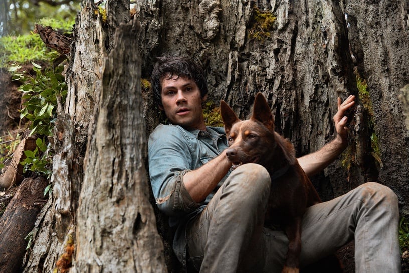 NETFLIX 4月片單推薦!破億懸疑國片《緝魂》、奇幻鉅作《太陽召喚》必看!