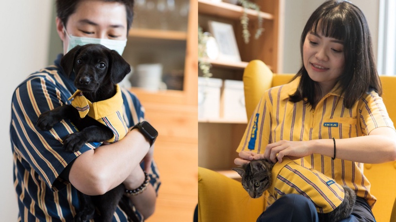 IKEA「寵物、鯊魚超萌小制服」限量登場,家中萌寵、鯊鯊玩偶也能變身IKEA銷售員!