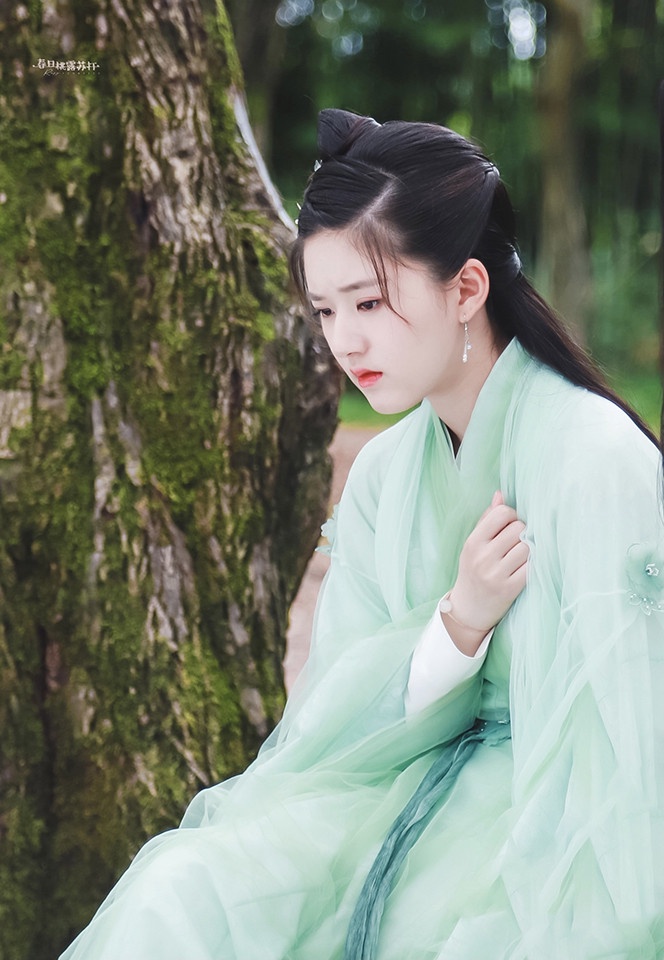 95後最美古裝小花3:趙露思《國子監來了個女弟子》、《長歌行》、《且試天下》