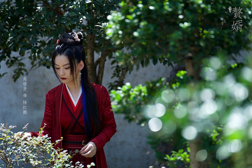 2021古裝劇「紅衣美人」6:尚語賢 飾演《贅婿》陸紅提
