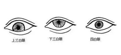 從面相看人格特質!鼻子大性慾高、三點全中是渣男渣女面相,觀察耳朵能看出誰是富二代