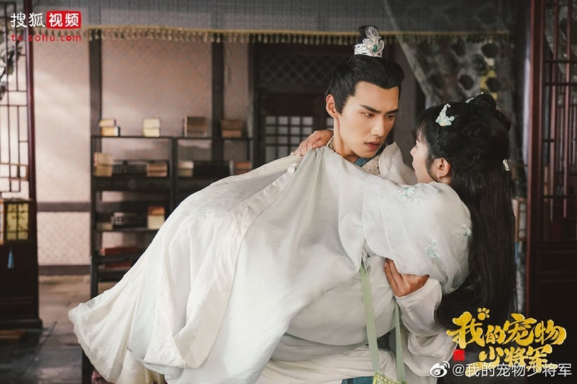 「冷門但高糖」的甜寵陸劇3:肖凱中、田曦薇《我的寵物少將軍》