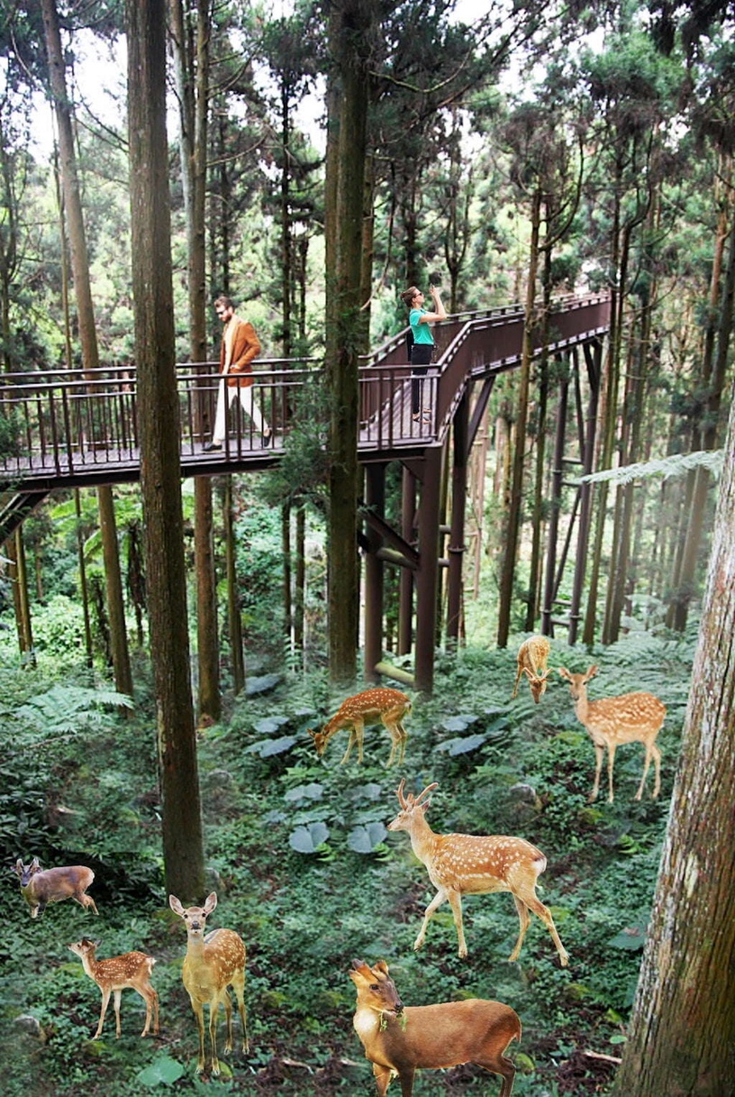 高雄要有新動物園啦!高雄「內門動物園」四大園區,零距離接觸動物、還能體驗飛越叢林